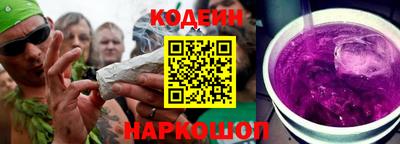 крисы Пенза