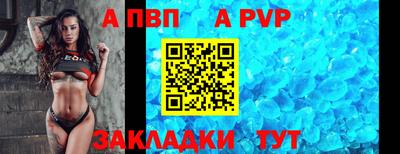 крисы Пенза