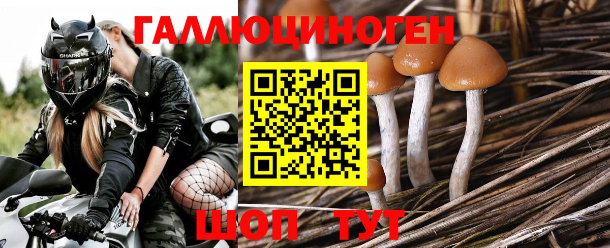 Псилоцибиновые грибы ЛСД Серов