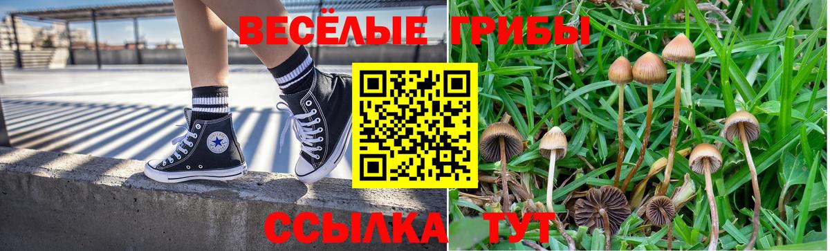 Галлюциногенные грибы Psilocybe  Галлюциногенные грибы Psilocybe  Серов  Вход с VPN 